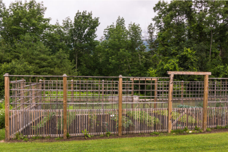 agentsdesigns: Garden Fence To Keep Deer Out