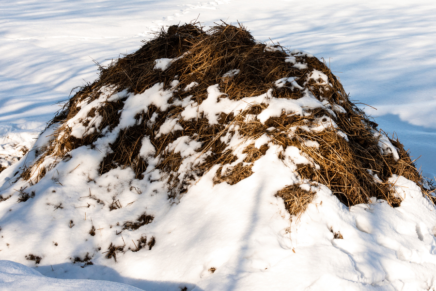 Kompostierung im Winter