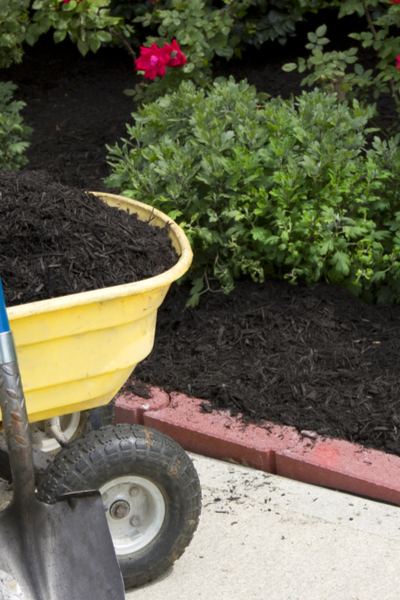  hinzufügen von Mulch