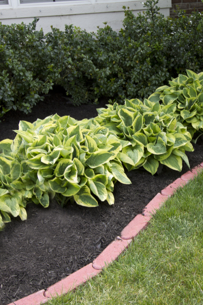 How To Select The Best Mulch For Flowerbeds And Gardens