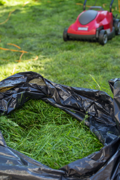 grass clippings as mulch