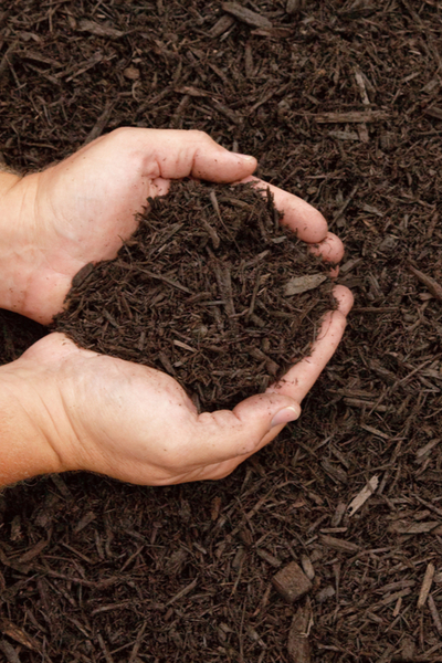 Shredded hardwood mulch - best mulch for flowerbeds