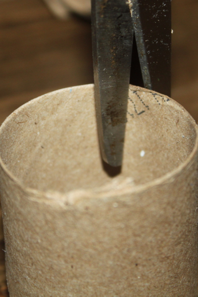 make seeds starting containers