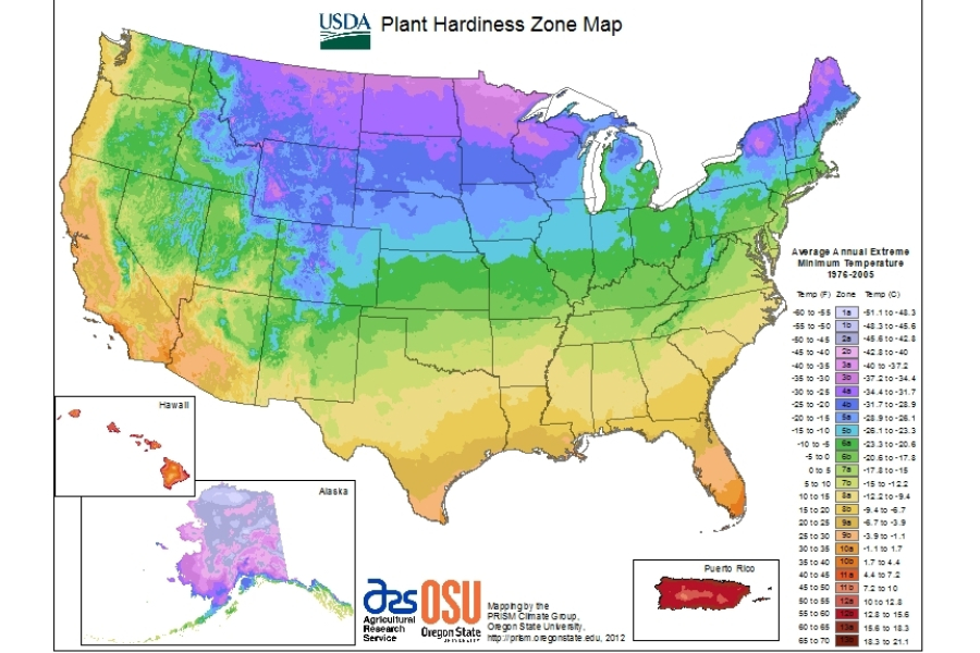 Understanding your growing zone