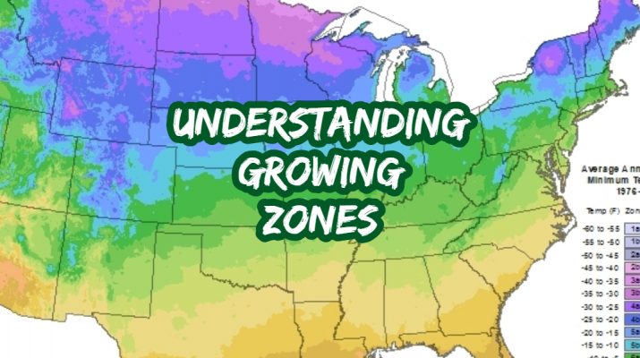 Understanding Growing Zones Archives This Is My Garden