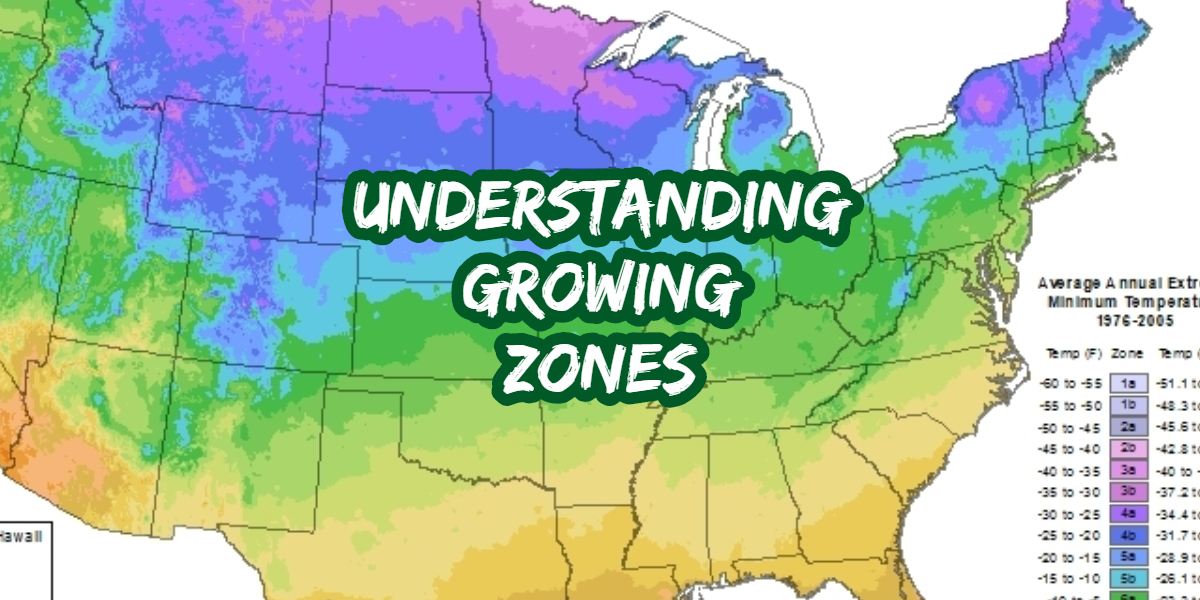 How To Understand Growing Zones & Hardiness Maps To Plant Smart