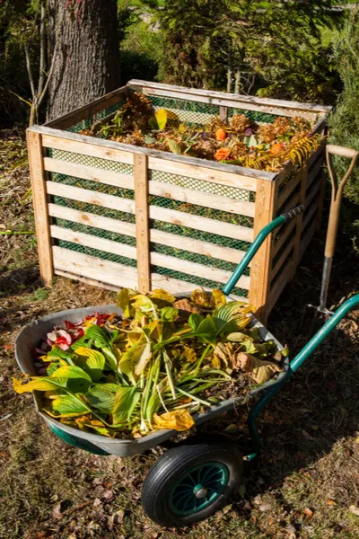 first vegetable garden - compost pile