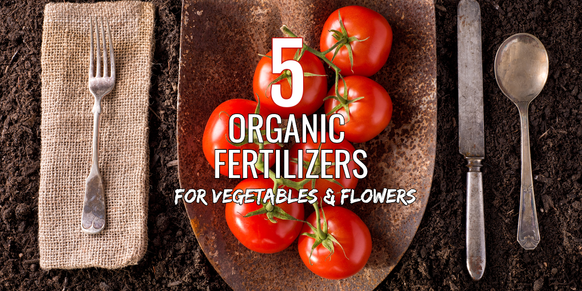 organic fertilizers