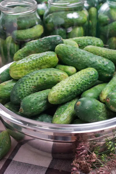 canning dill pickles