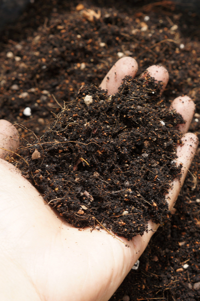 compost soil mix