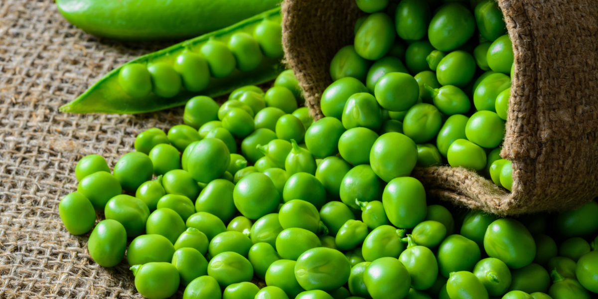 how to save spring seed crops - pea seeds