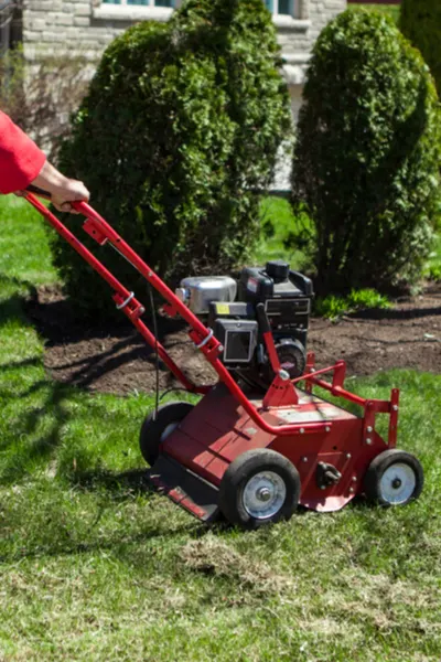 aerating the lawn