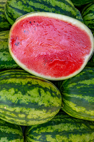 ripening melons