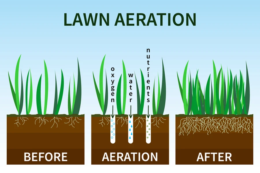 Aerating and seeding lawn in deals fall