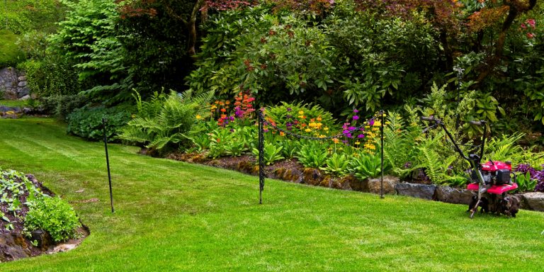 aerating a lawn