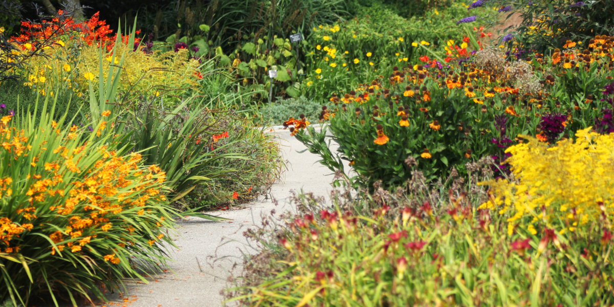 When To Cut Back Perennials In The Fall - And How To Do It!