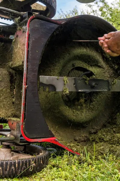 cleaning the mower