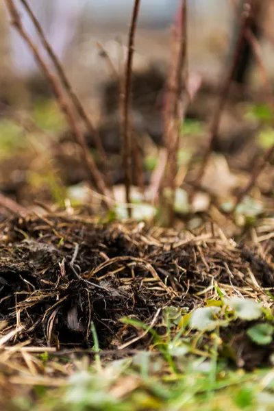 fall composting