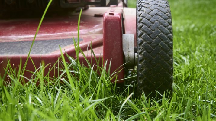 how-to-mow-your-lawn-before-winter-for-a-better-yard-next-year