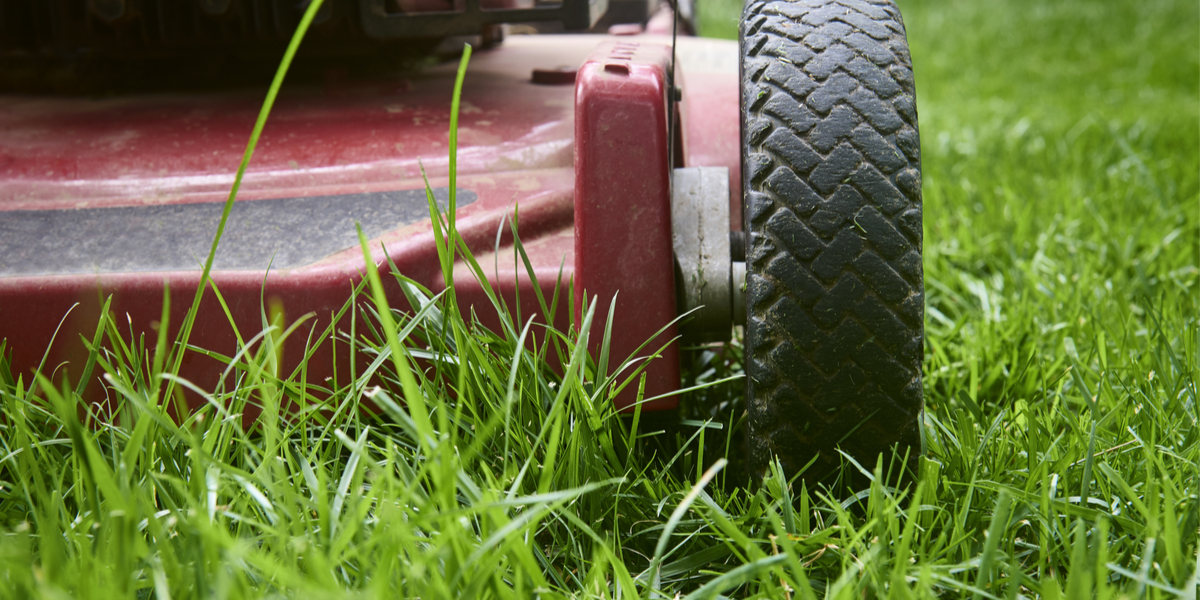 how to mow before winter