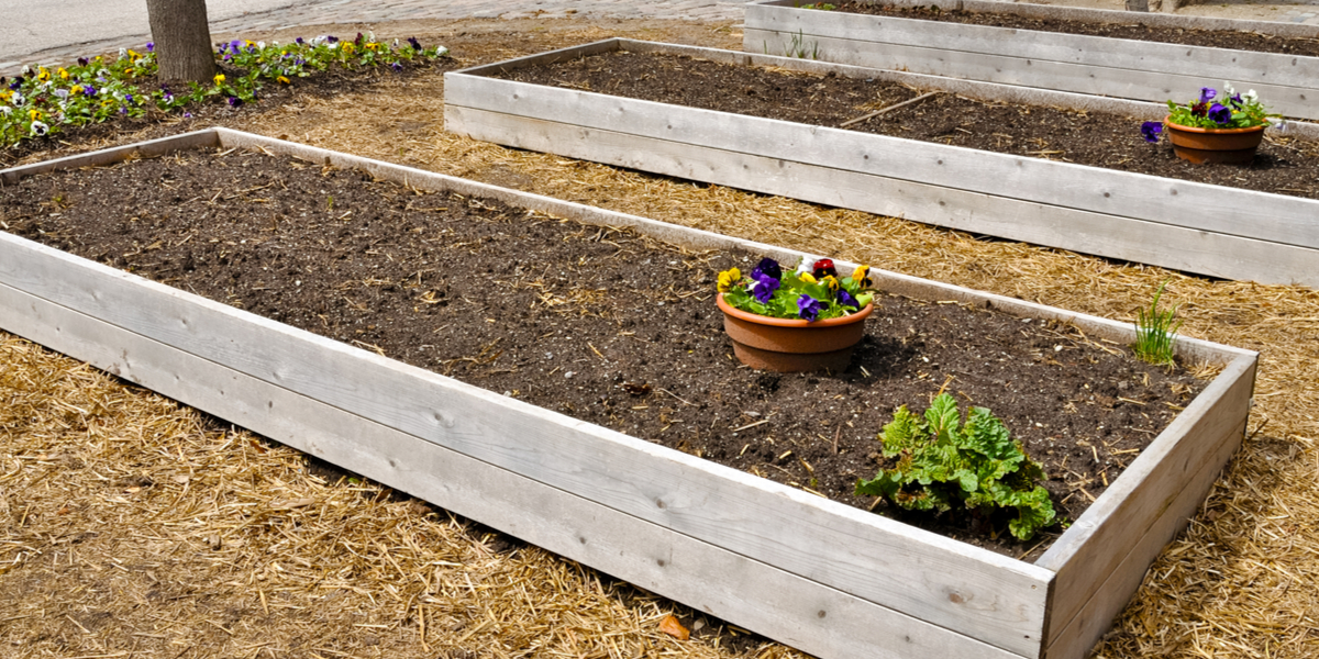 recharge raised bed soil