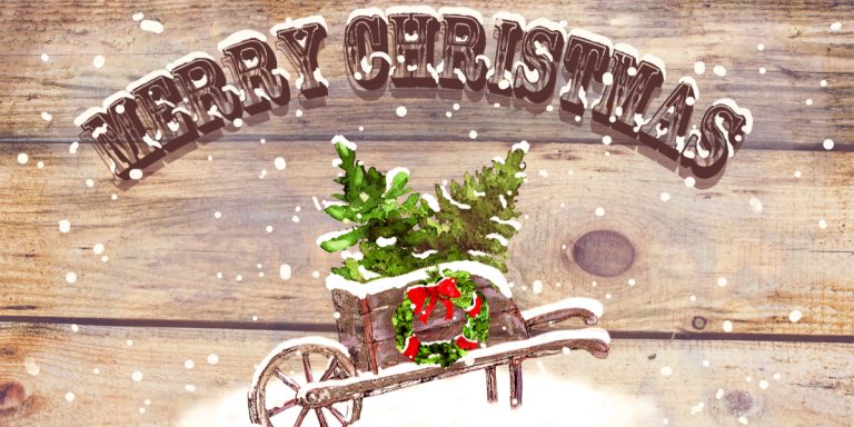 Great Christmas Garden Gifts