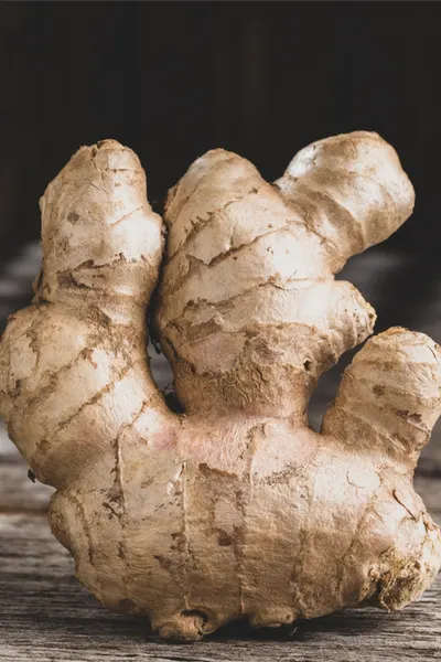  grow ginger indoors