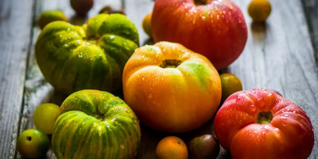 unique tomatoes - heirlooms