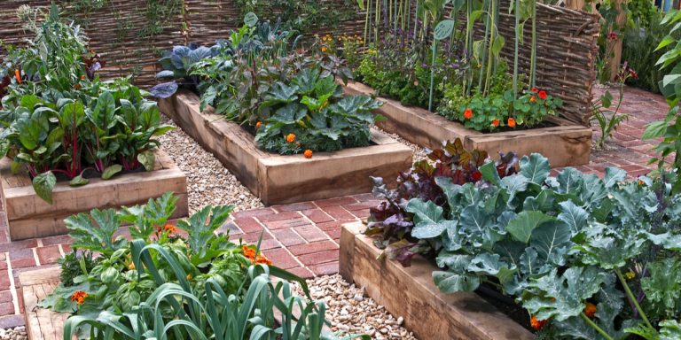 grow in raised rows