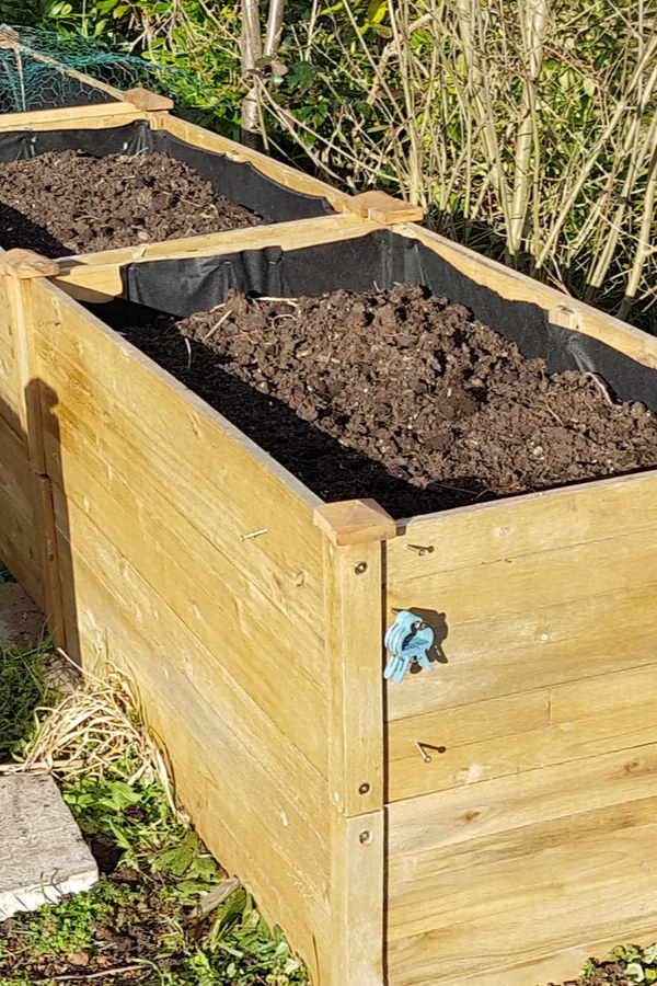 raised bed care in the winter