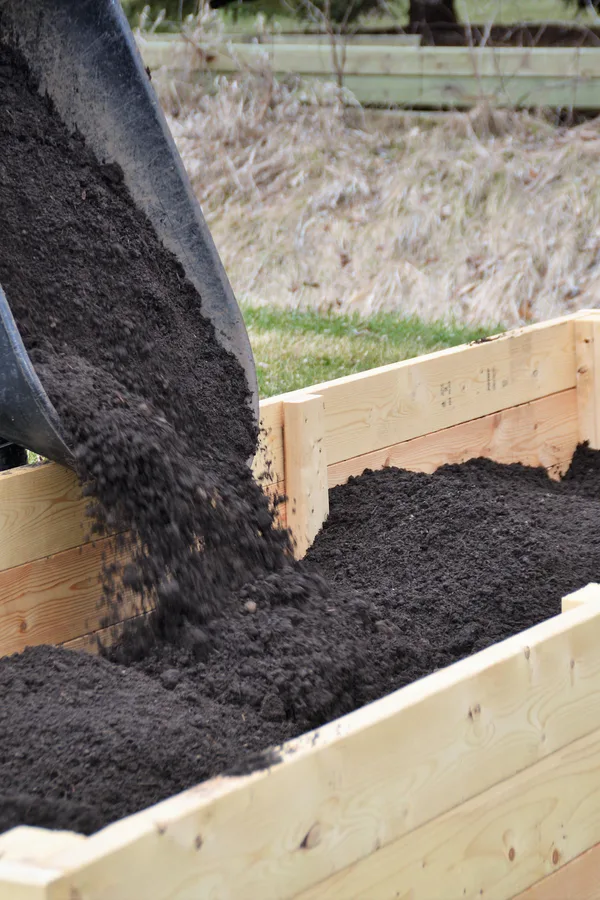 how to grow in raised beds