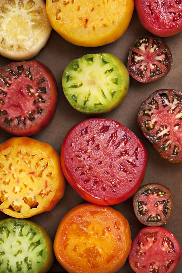 3 unique tomato plants