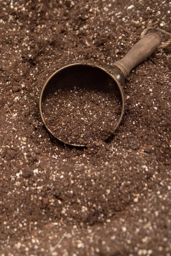 how to make seed soil