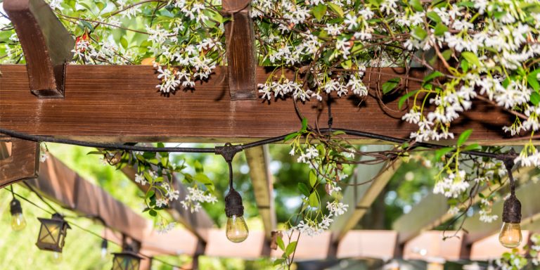 diy wood pergola