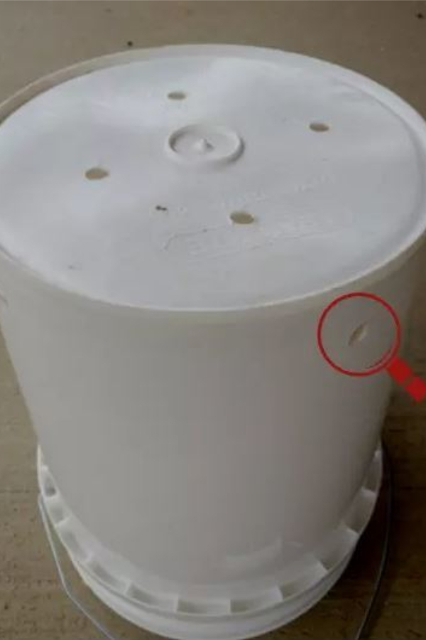 garden in 5 gallon buckets  - drilling holes