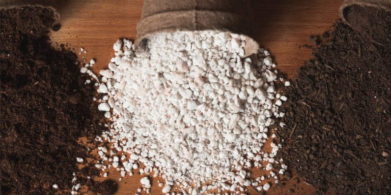How To Create The Best Organic Potting Soil For Vegetables