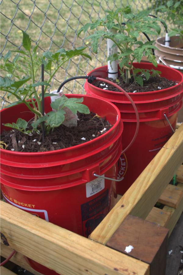 5-Gal. Red Bucket (Pack of 3)