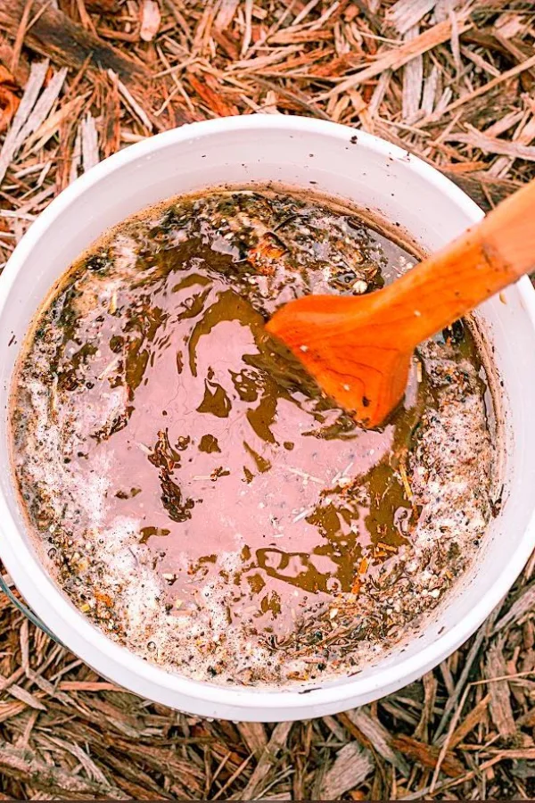 how to make compost tea