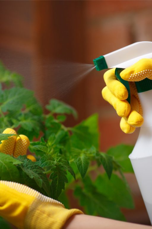 How To Make & Use Hot Pepper Spray Stop Pest Damage Naturally!