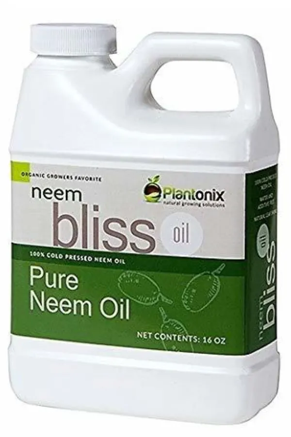 pure neem oil