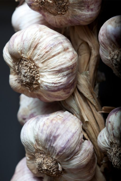 How To Plant Hardneck Garlic This Fall 5 Simple Secrets