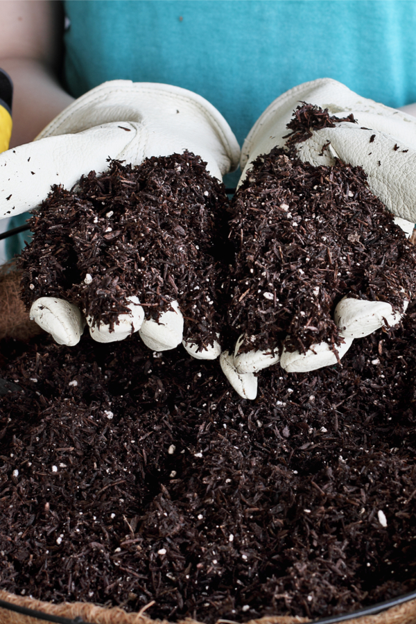 Image of Close-up of compost in hanging basket