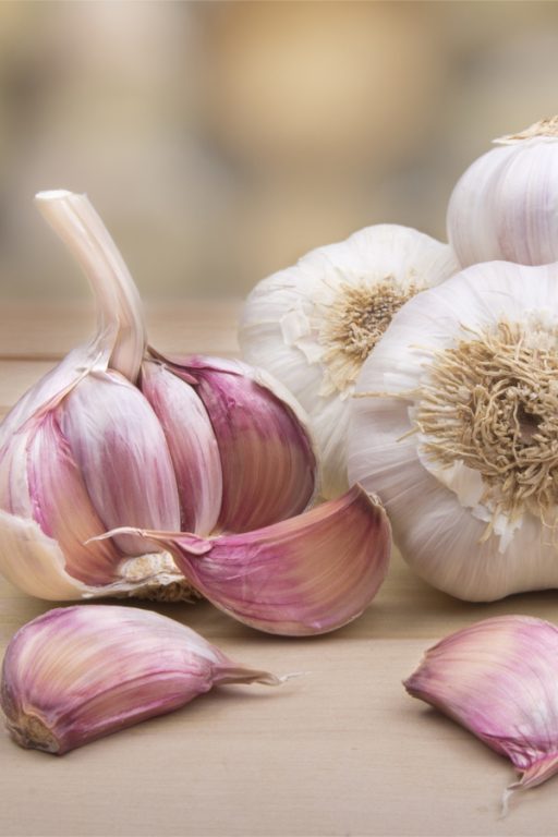 How To Plant Hardneck Garlic This Fall 5 Simple Secrets