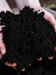 how to make compost fast