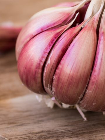 how to plant hardneck garlic