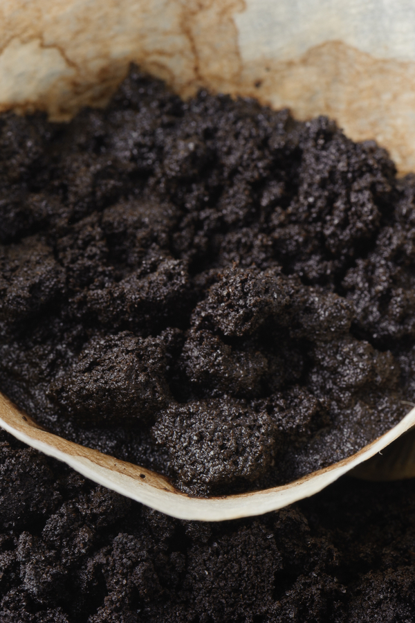 coffee grounds and soil