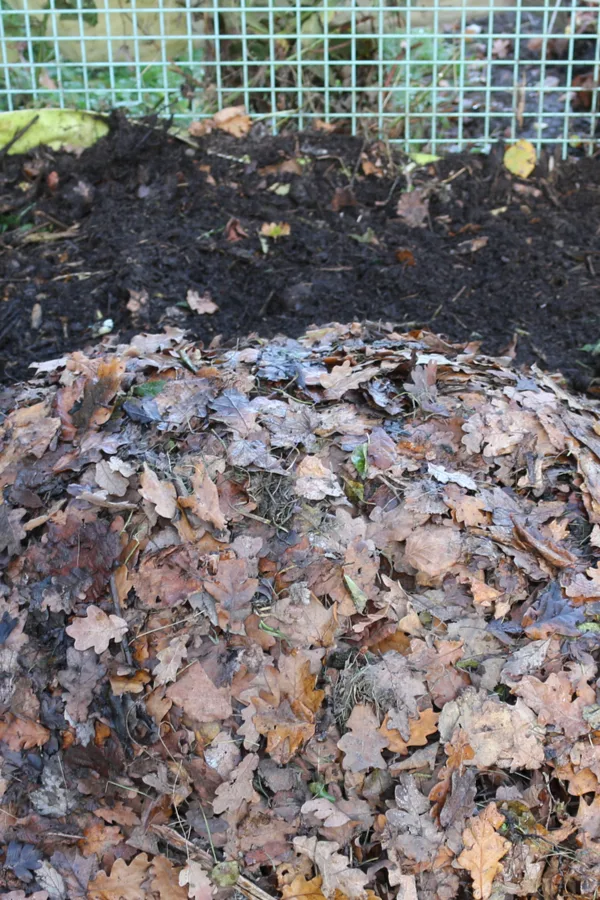 Fall is the perfect time to build a compost bin