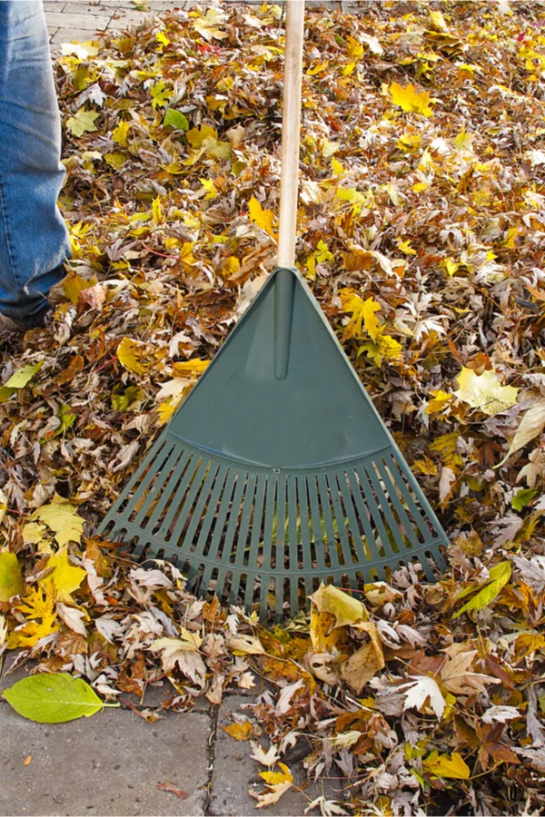 How To Create A Great Fall Compost Pile - Make Compost For Next Year!