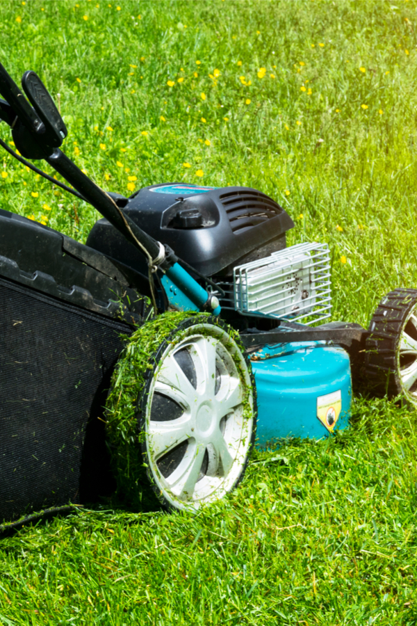 must do fall lawn chores