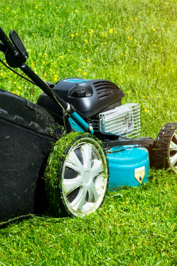 must do fall lawn chores